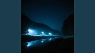 The Night I Couldn't Forget You