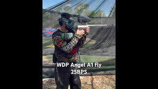 WDP Angel A1 fly 25bps shooting video