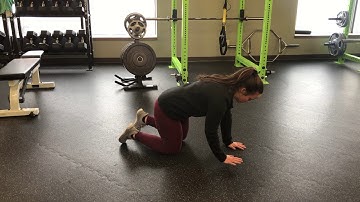 Unity Fitness - Bulldog ISO + Shoulder Tap