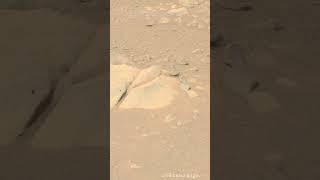Perseverance Rover Clip 335 😀 😍 #mars #shortvideo #shorts #youtubeshorts #nasa credit nasa.jpl.gov