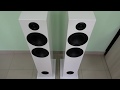 Підлогова акустична система Triangle Elara LN-07 Black HG