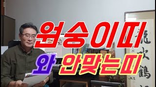원숭이띠와 궁합이 맞지 않아 불화하거나 서로 충돌하여 안맞는 띠는 토끼띠, 돼지띠, 뱀띠, 호랑이띠 - 원숭…