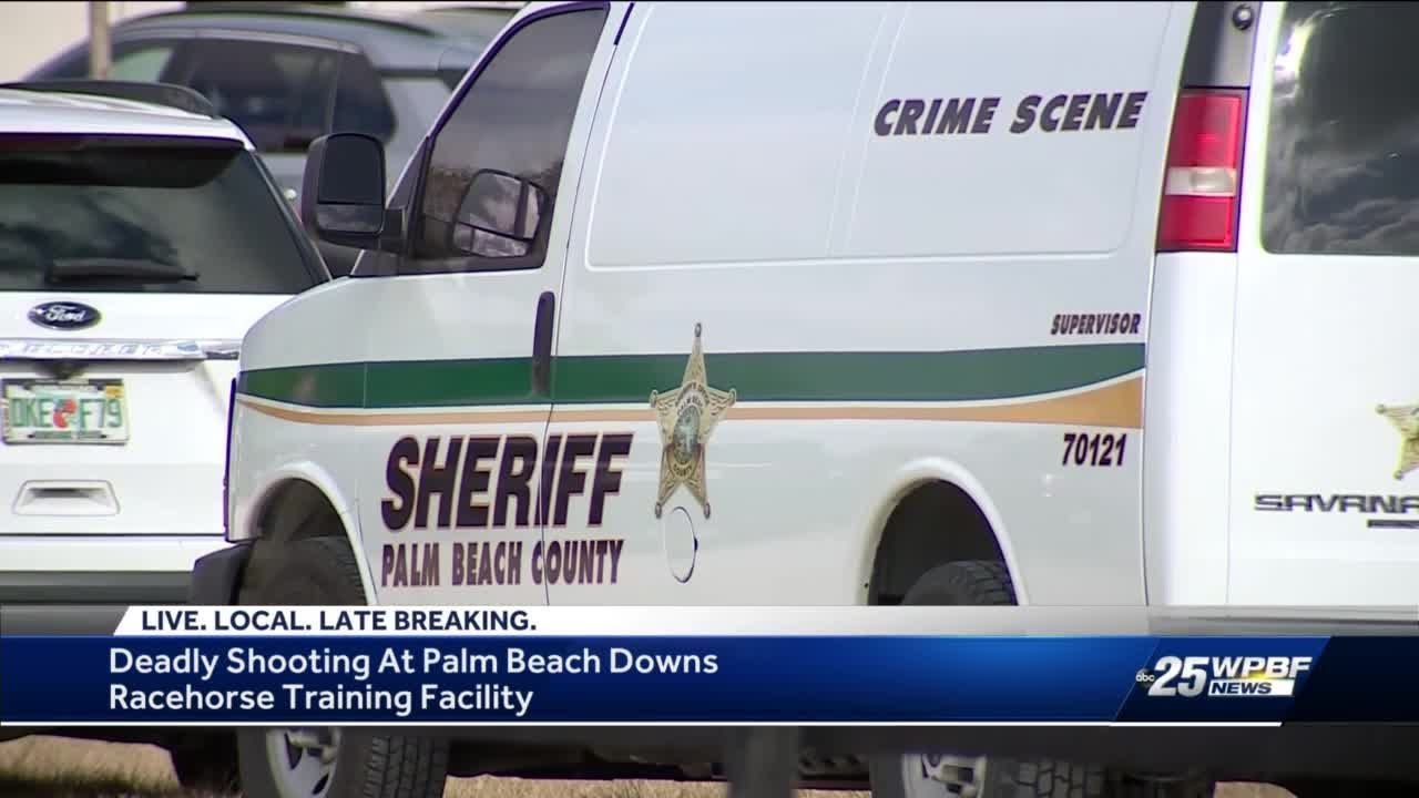 One shot, killed at Palm Beach Downs racehorse training facility - YouTube