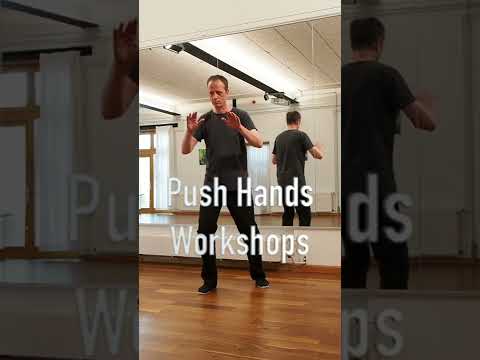 Push Hands Workshops Hannover