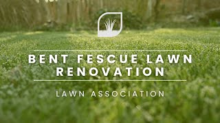 LAWN RENOVATION | 3 day germination | Lawn Association