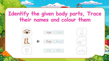 Pre-Primer EVS Lesson | Every Page Explain for Kids | evs for kids |  Identify, trace & colour parts