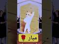 ميار الاكتر طلبا ميار Cat العراق السعودية قطر الامارات الكويت البحرين جديد المغرب New ميار الاكتر طلبا ميار Cat العراق السعودية قطر الامارات الكويت البحرين جديد المغرب New