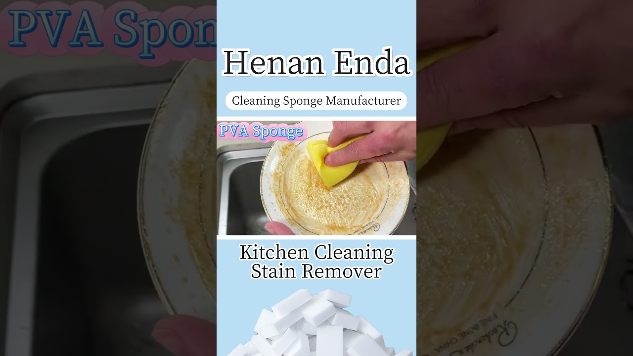 Amazing Applications of PVA Sponge-Wholesale From Supplier Factory Enda Company