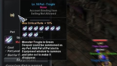 satisfying pet training (cabal online)