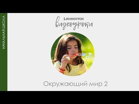 Средства информации | Окружающий мир 2 класс #12 | Инфоурок