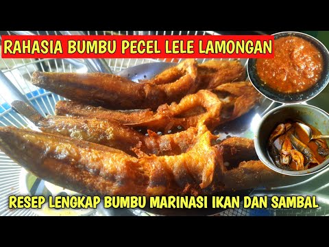 Sambel Penyet Lele