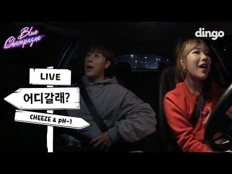 pH-1! 치즈 운전실력에 동공지진 👀 I 드라이브하며 듣기 좋은 CHEEZE & pH-1 - Blue Champagne💙🍾 I 블루샴페인 | 어디갈래 I dingomusic