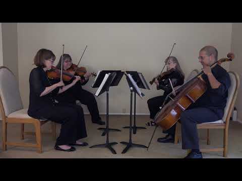 Allegro Quartet - Firework (cover)