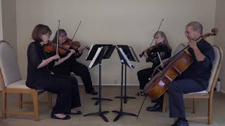 Allegro Quartet - Firework (cover)