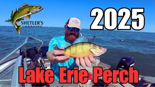 Lake Erie Perch: Spots and Techniques