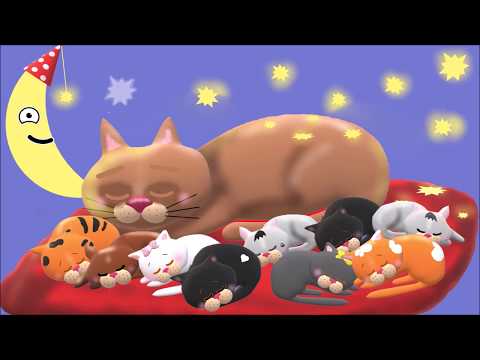 Baba-mama relaxáció - macskadorombolás (Baby-Mommy relax with purring cat)