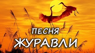 Песня Журавли (в моей душе давно настала осень.....)