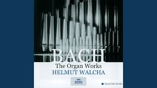 J.S. Bach: Trio Sonata No. 6 in G Major, BWV 530: I. Vivace - YouTube