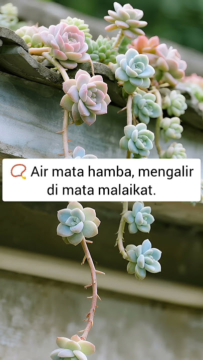 Air mata dimata malaikat part 2 #shortfeed