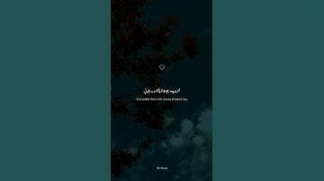 تلاوة هادئة تمس القلب 😍❤️ | شیخ صلاح بوخاطر بأعمق تلاوة ستهدئ روحك تماما #صلاح_بوخاطر #short