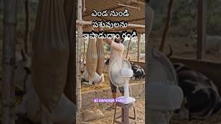 పశువులకు చల్లదనం ఏర్పాటు | ai concept video