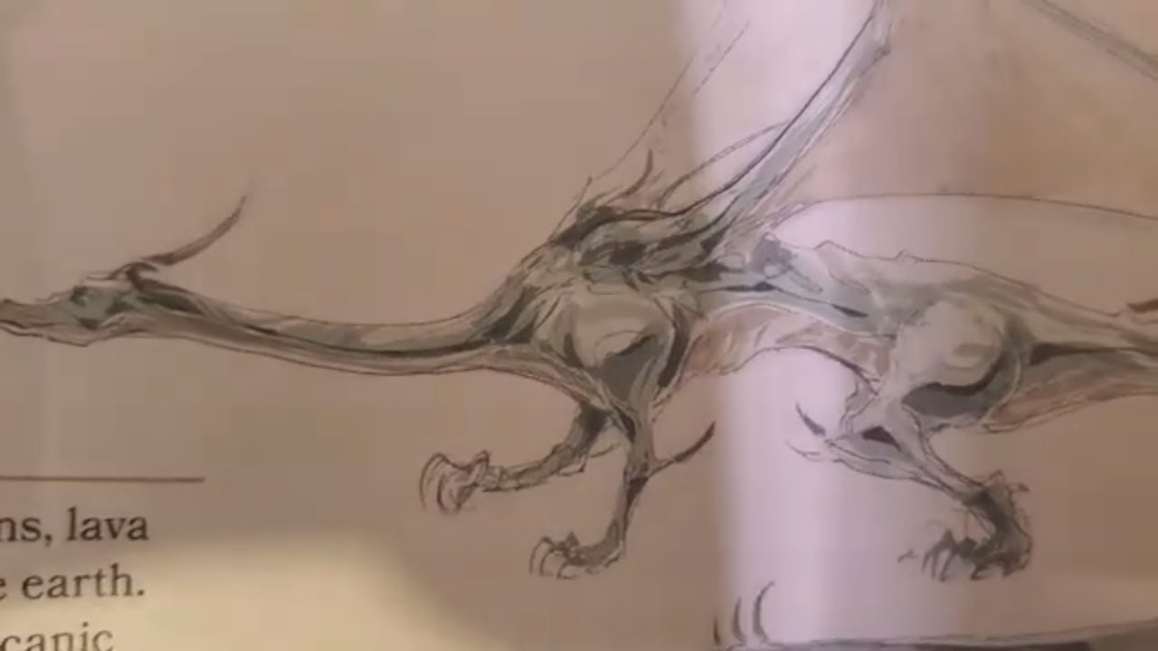 What To Expect Adult Emerald Dragon Stats