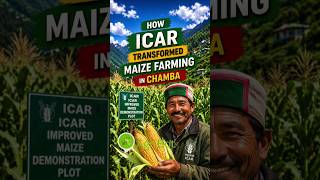 How ICAR Transformed Maize Farming in Chamba