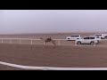 الشوط2 مناور للسيد سيف الفندي سيف المزروعي توقيت 2 16 25 الشوط2 مناور للسيد سيف الفندي سيف المزروعي توقيت 2 16 25