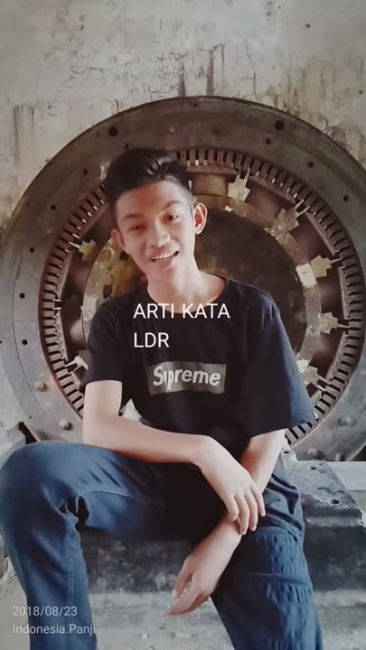 Arti kata LDR