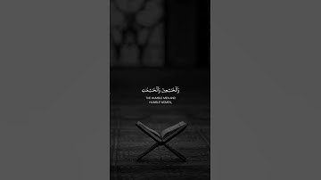 قرآن كريم{سورة الأحزاب /الآية 35}