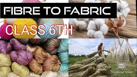 Chapter-3 (Fibre to Fabric) NCERT Class 6th (PART 6) KEYWORDS AND EXERCISE