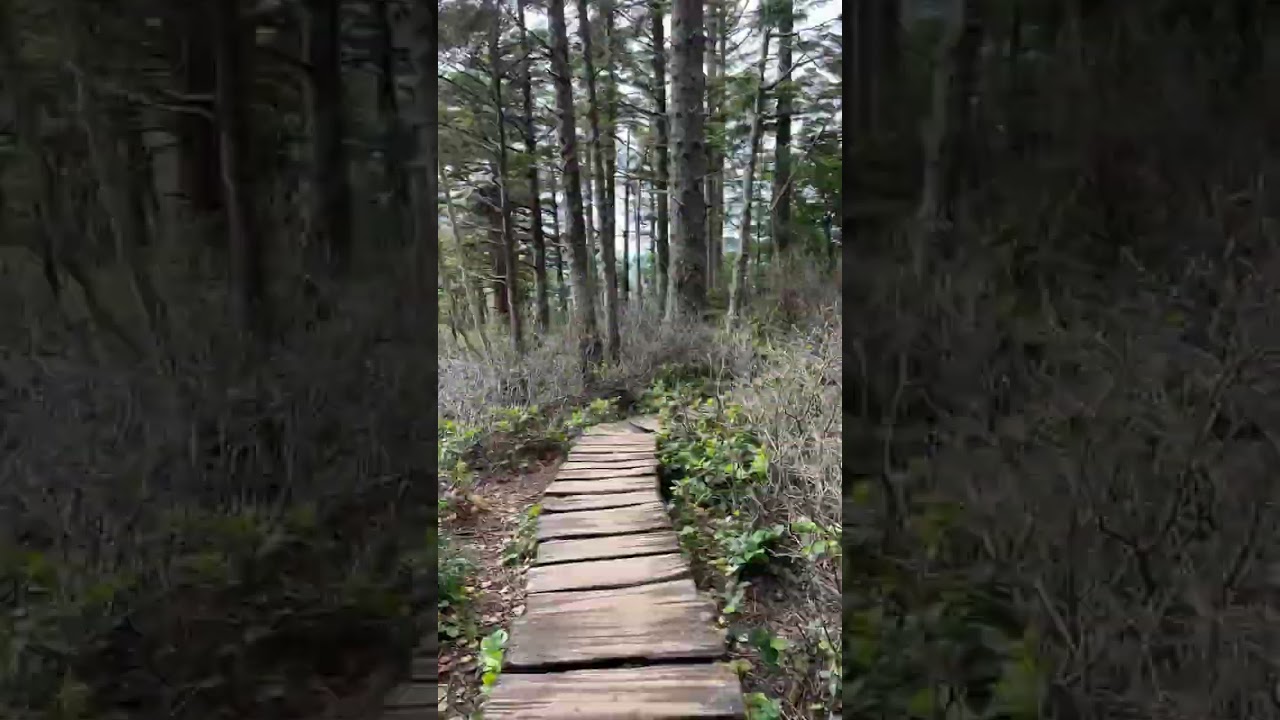 Cape falttery trail in 15seconds 