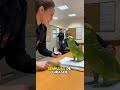 &ldquo;Loro rechaza propuesta en comisar&iacute;a: &lsquo;&iexcl;Ya le di mi coraz&oacute;n a otra agente!&rsquo; 😂🦜💍👮&zwj;♀️&rdquo;
