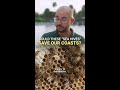 SeaHive: blending smart design and nature-inspired form