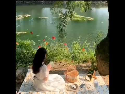 مياده الحناوي كلام اليالي مياده الحناوي