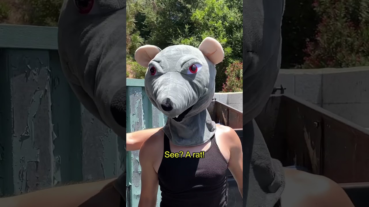 Mafia movies be like… 😑🙄😂 