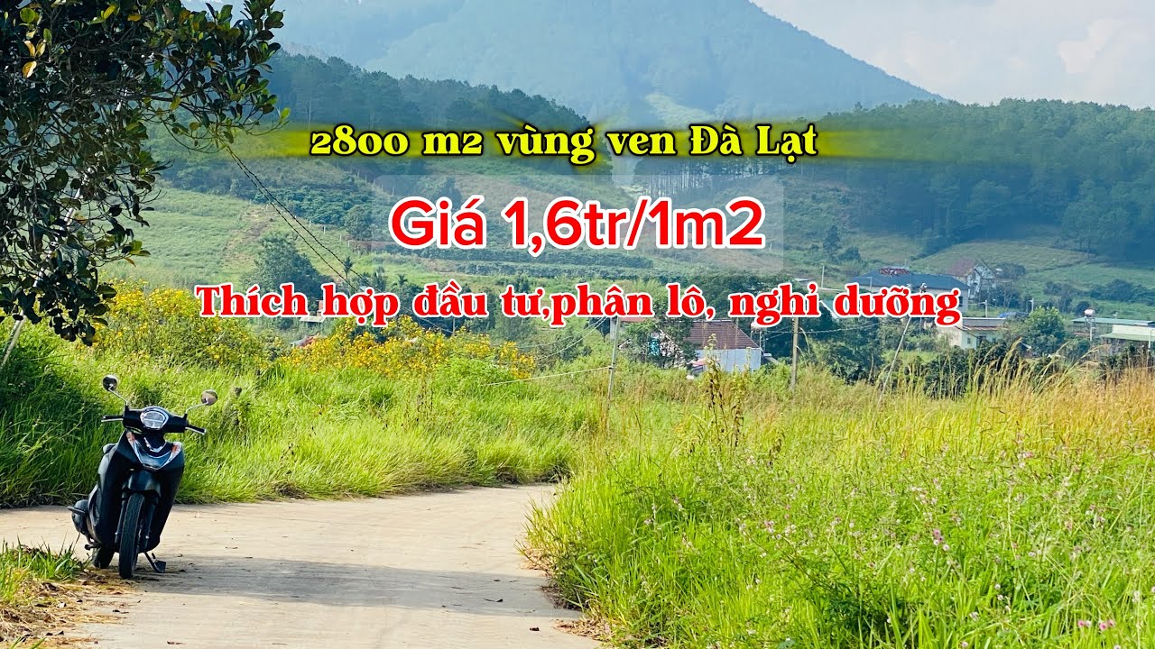 2.800m2 đất vùng ven Đà Lạt. Giá tốt không thể bỏ lỡ. Lô đất đầy tiềm năng và duy nhất