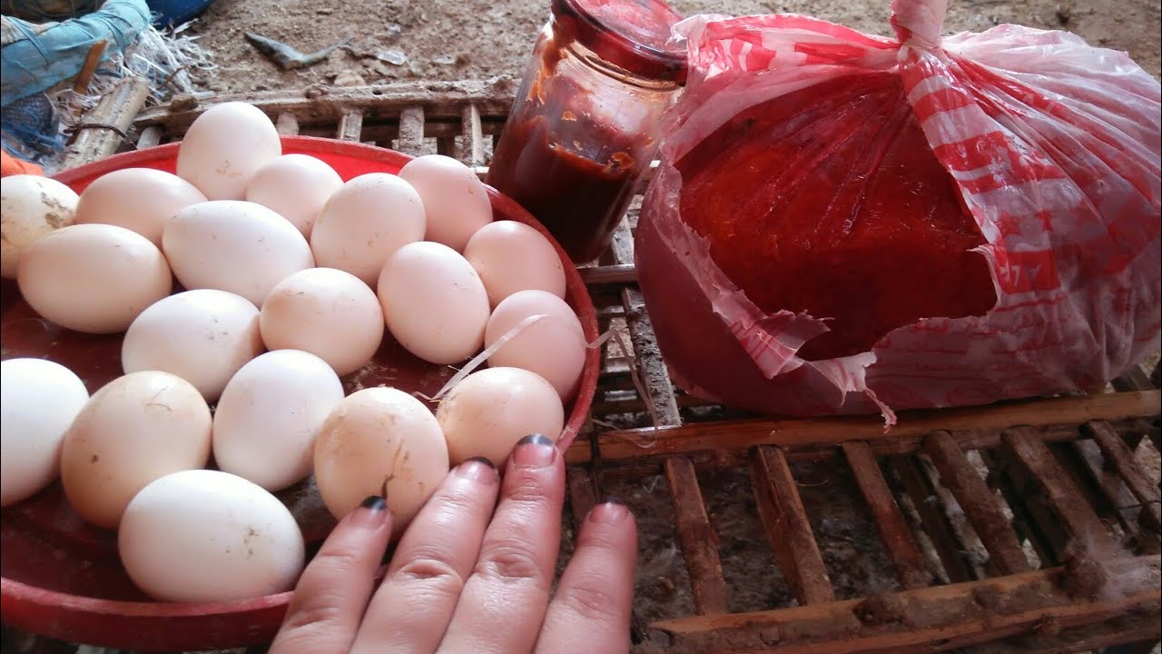 الوصفة الرهييبة ل زيادة البيض وزيادة حجمة اللي سالتوني عليها هتعملي كمية بعشرة جنية تكفي طيورك طول ا