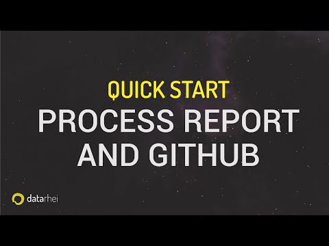 Quick Start : How to get help with the datarhei Restreamer on GitHub using the Process report