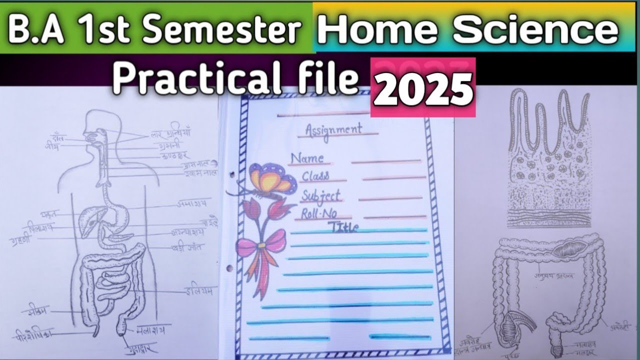 Home Science Assignment || B.A 1st Semester Home Science File #msdsu #