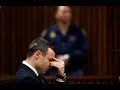 Oscar Pistorius Trial: Dying Reeva's Screams 'As Loud As A Plane' - Day 34