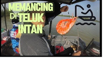 mancing udang di teluk intan