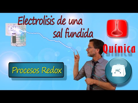 Video: ¿Durante la electrólisis del nacl fundido?