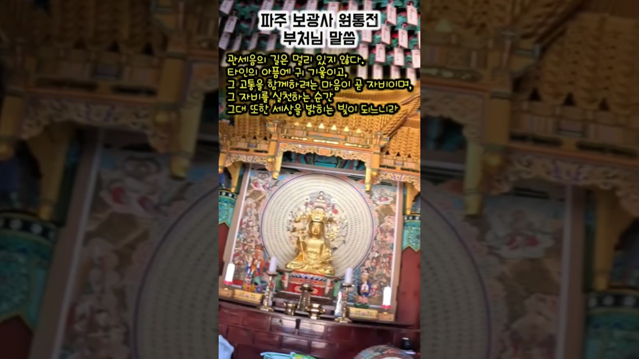 대자대비 관세음보살님, 자비광명으로 고통을 덜어주시고 소원성취 이루게 하소서! #자기수행 #업장소멸