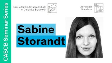 Sabine Storandt - Graph algorithms for movement data processing | CBSS