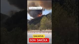 Son Dakika Sakarya Doğançayda Orman Yangını Çıktı