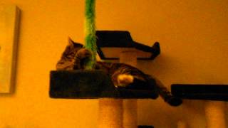 Hengel Soft Plush Lang bij www.kattenspeelgoed.be screenshot 1
