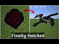 How to hatch a ender dragon egg | How to hatch a dragon egg in Minecraft | Minecraft Tutorial (2021)