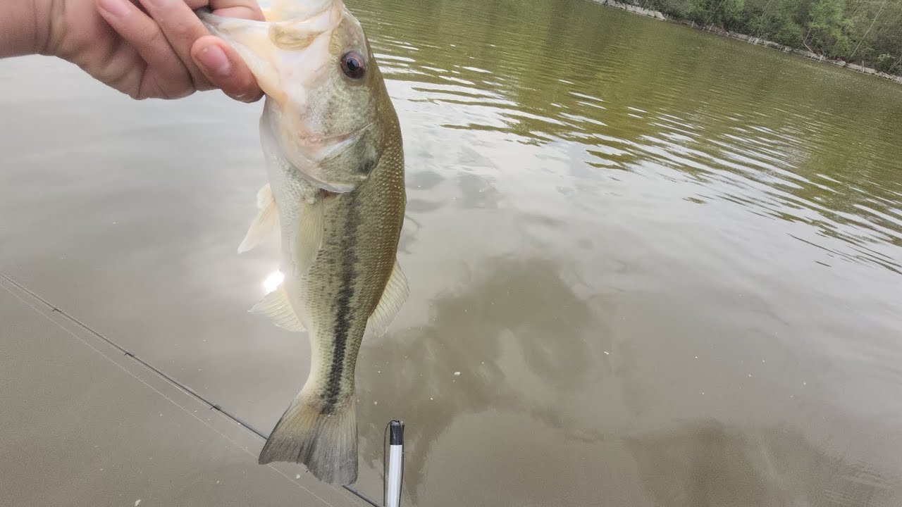 Bass fishing at Boone