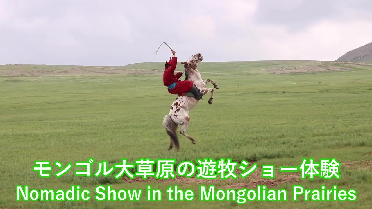モンゴル大草原の遊牧ショー体験 Nomadic Show In The Mongolian Prairies Youtube